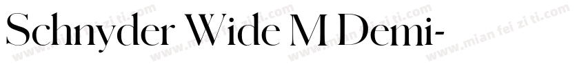 Schnyder Wide M Demi字体转换
